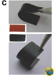 新型抗菌復合材料 革新繃帶、食品包裝與鞋履領域